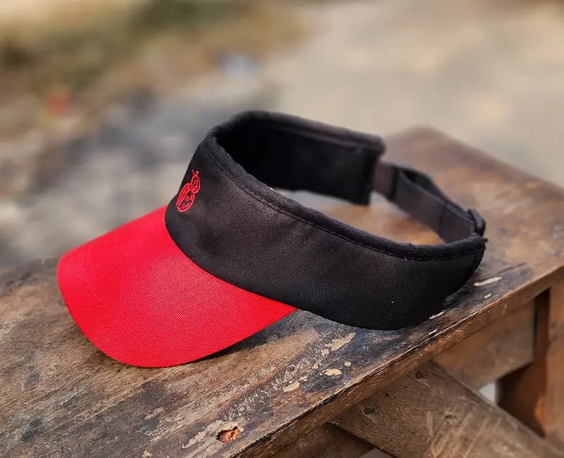 Visor